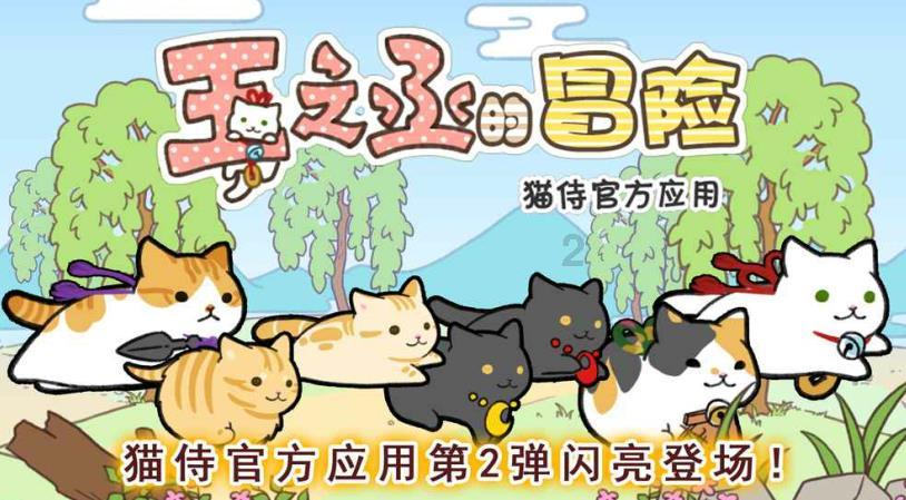 中高协第四届会员代表大会二次会议暨四次全委会在重庆召开