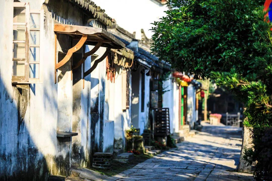 逗小猴开心系列183